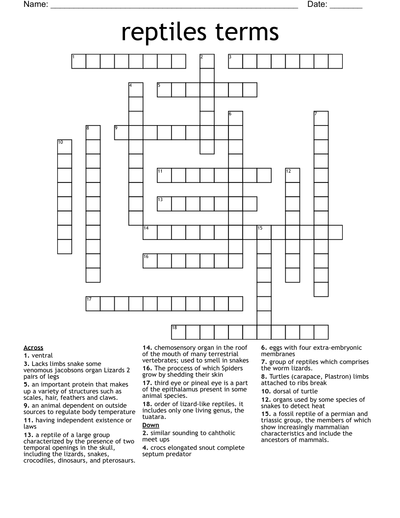 reptiles terms Crossword