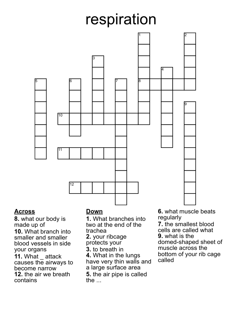 respiration Crossword