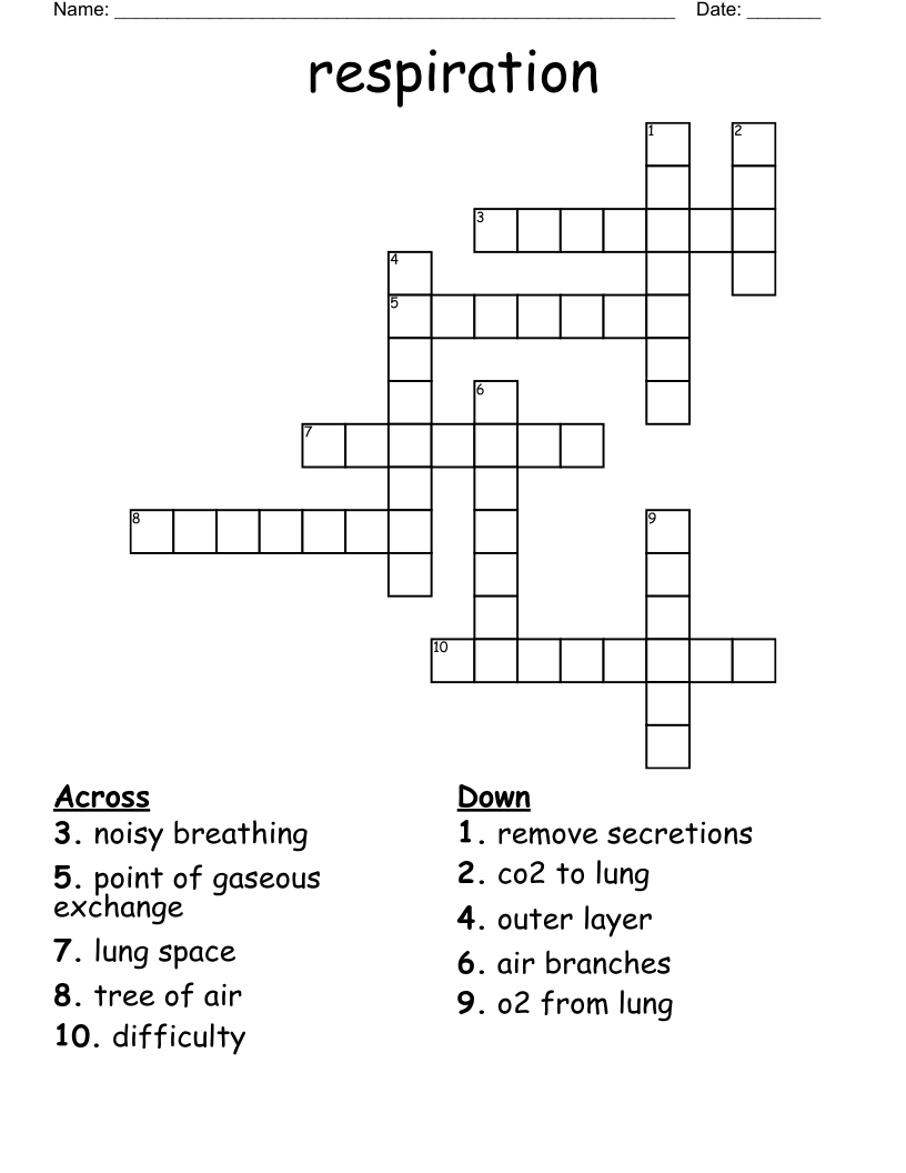 respiration Crossword