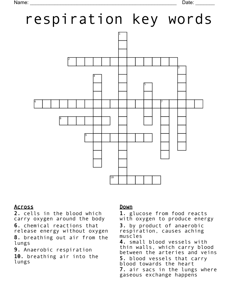 respiration key words Crossword