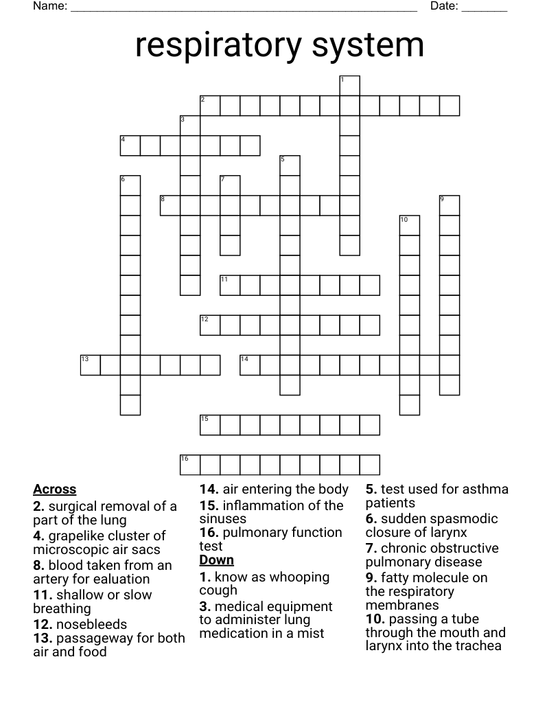 respiratory system Crossword