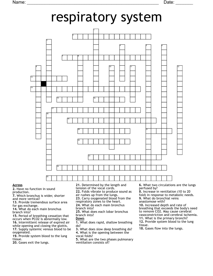 respiratory system Crossword