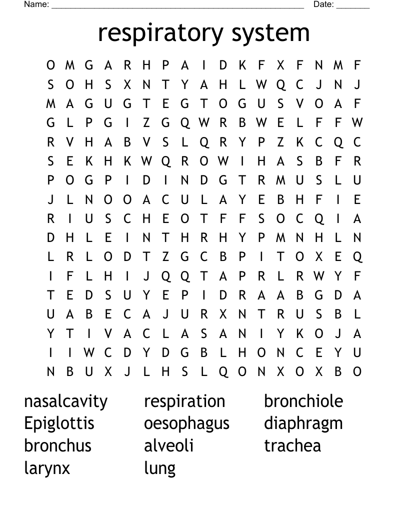 respiratory system Word Search