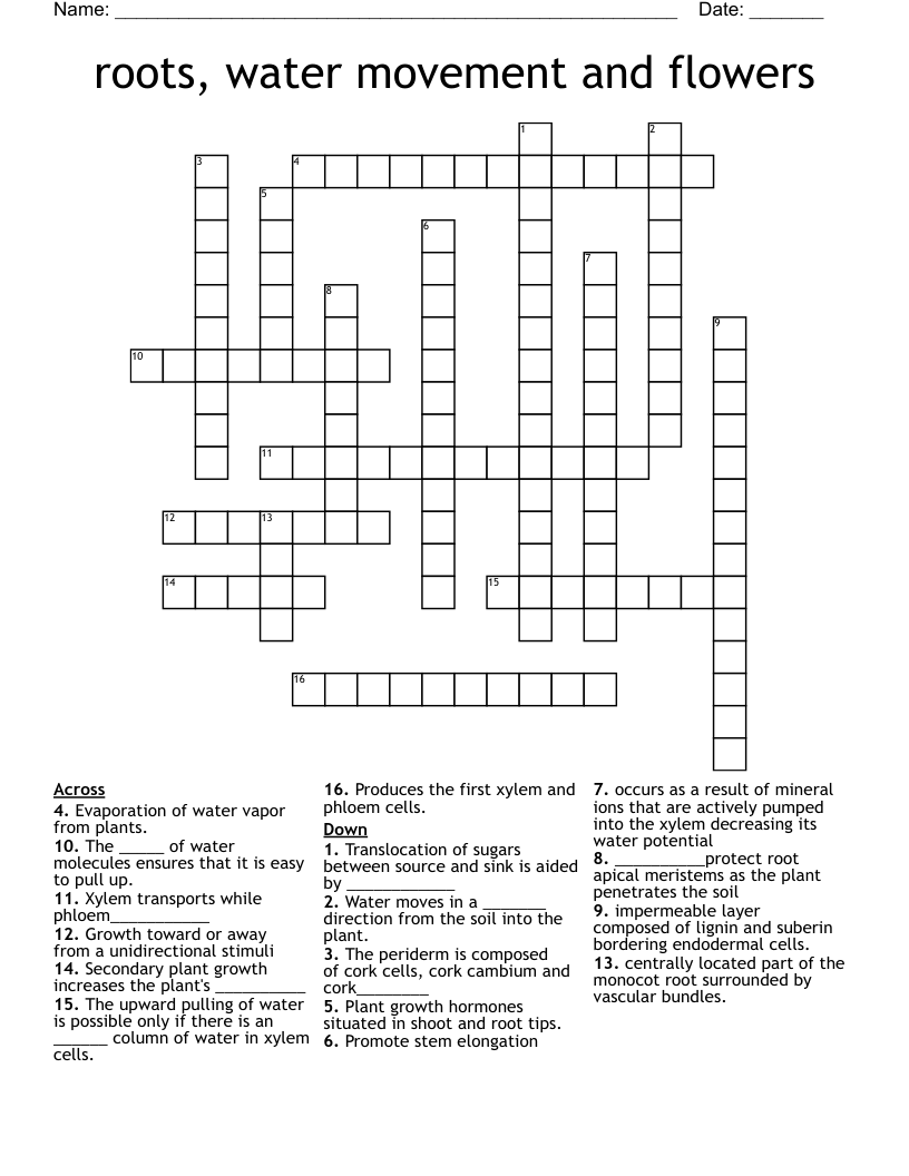 roots, water movement and flowers Crossword