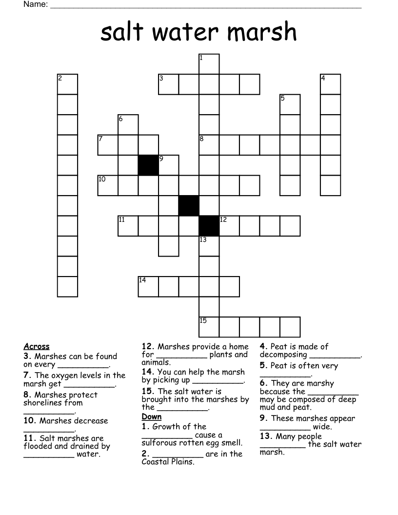 salt water marsh Crossword