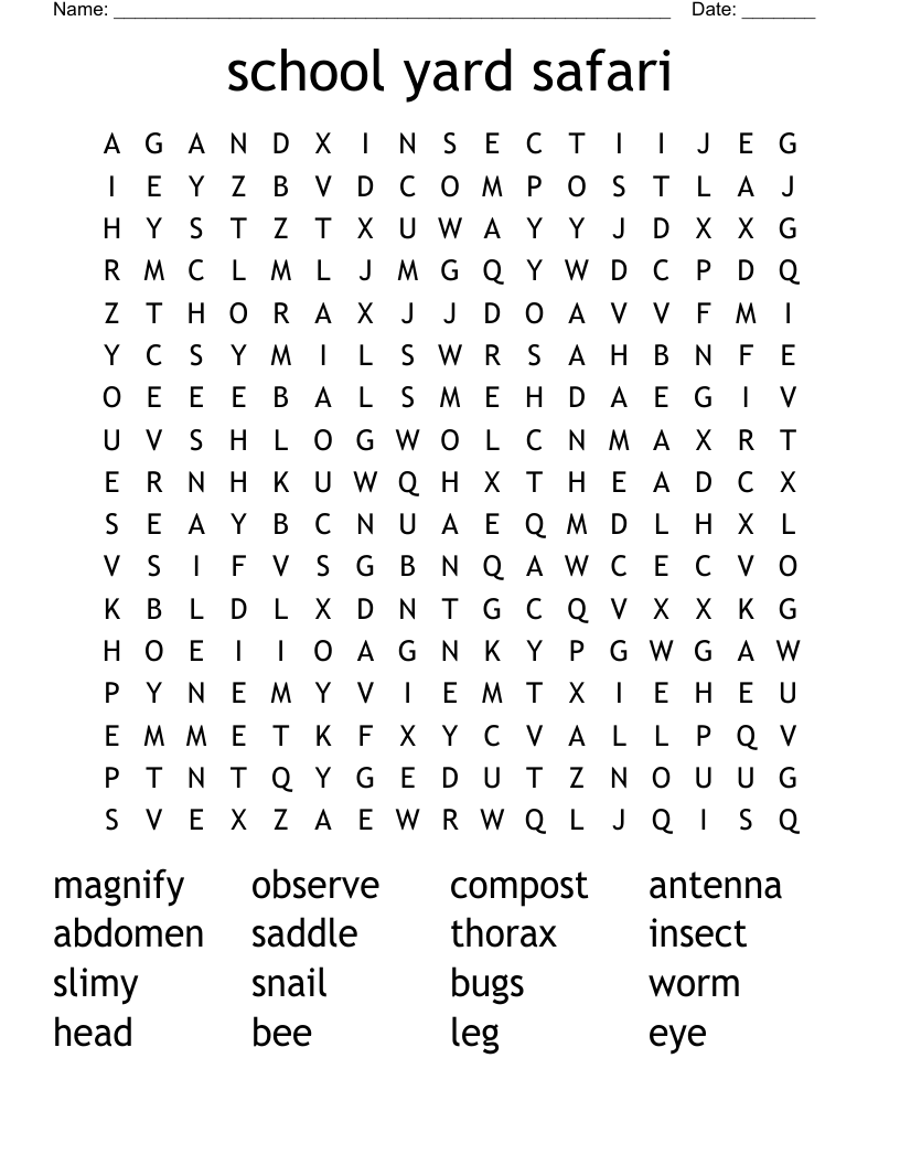 school yard safari Word Search