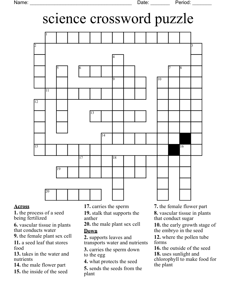 science crossword puzzle