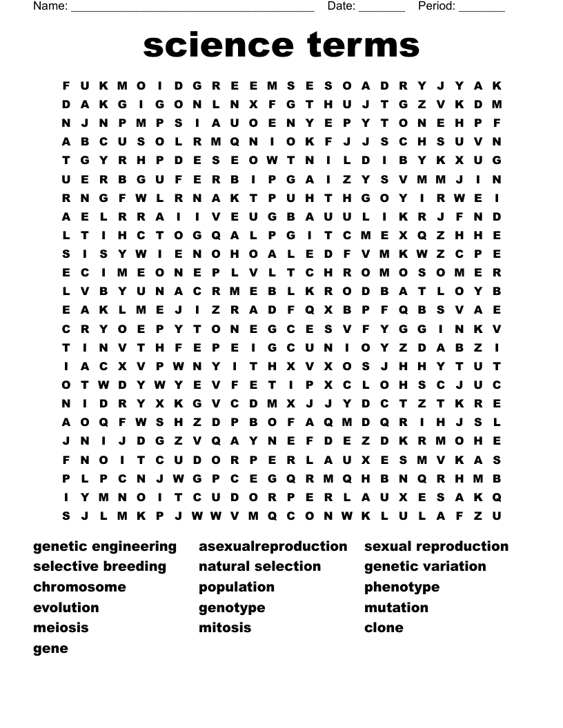 science terms Word Search