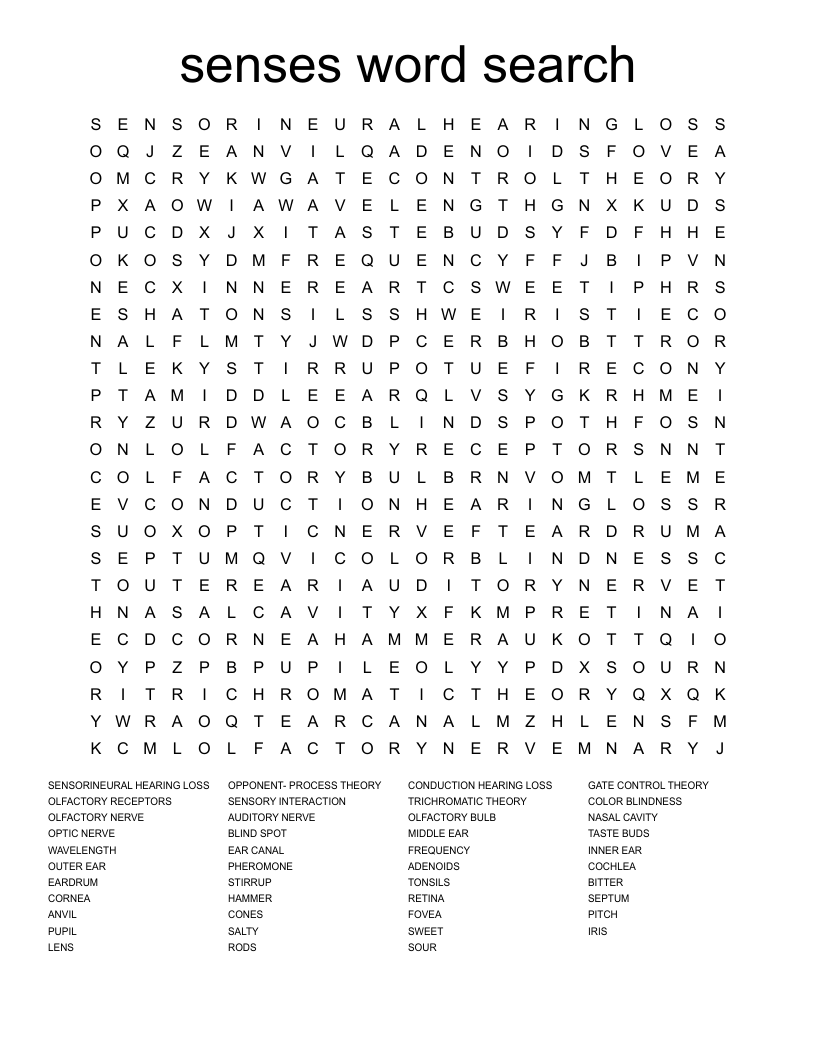 senses word search 