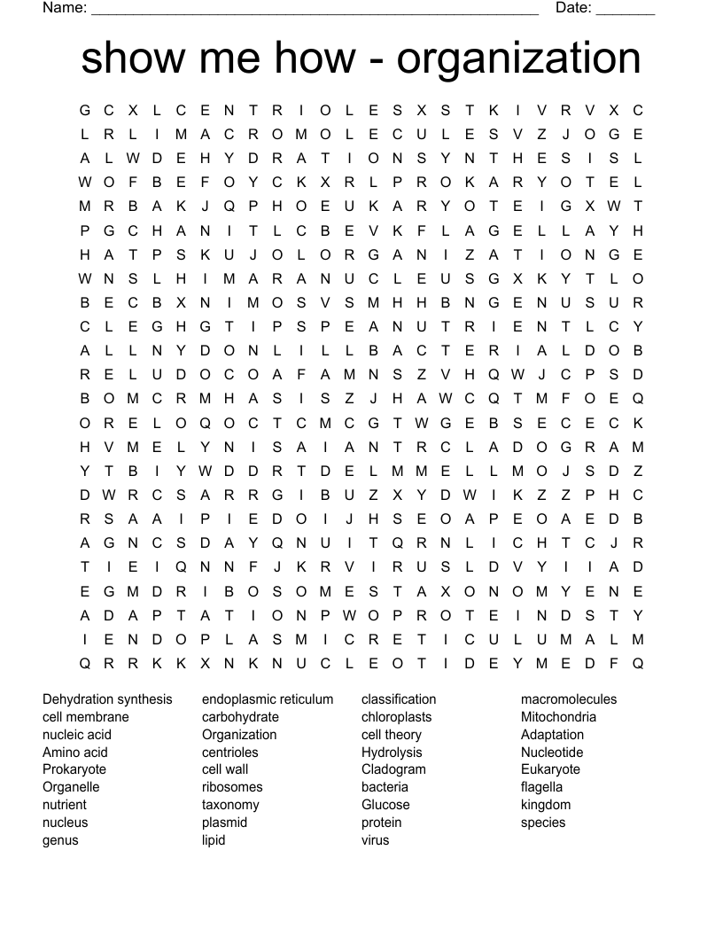 show me how - organization  Word Search