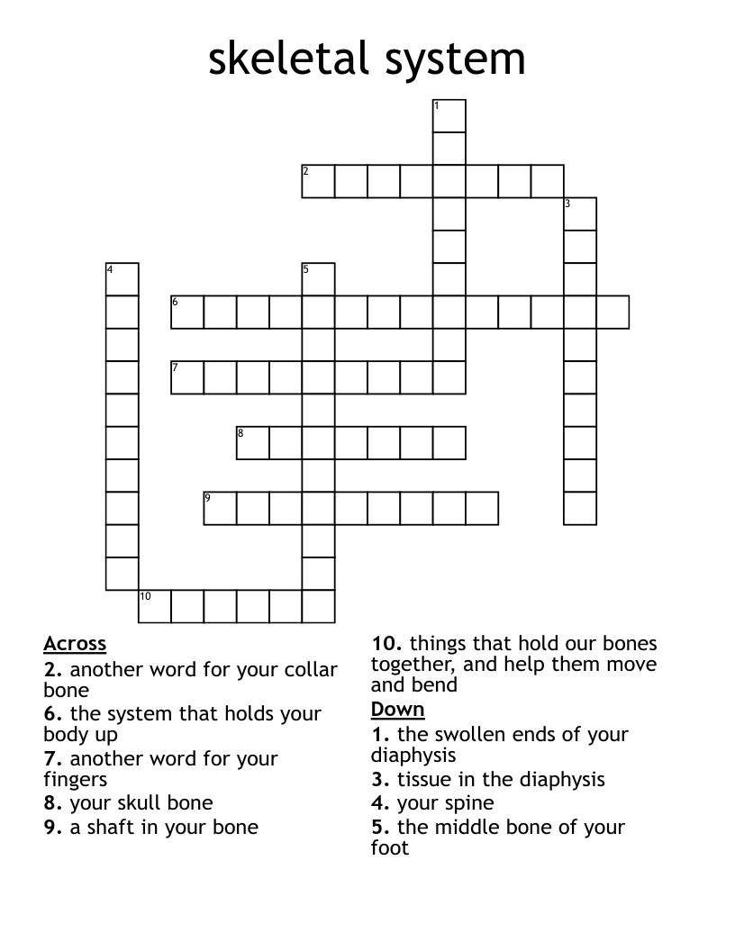 skeletal system Crossword