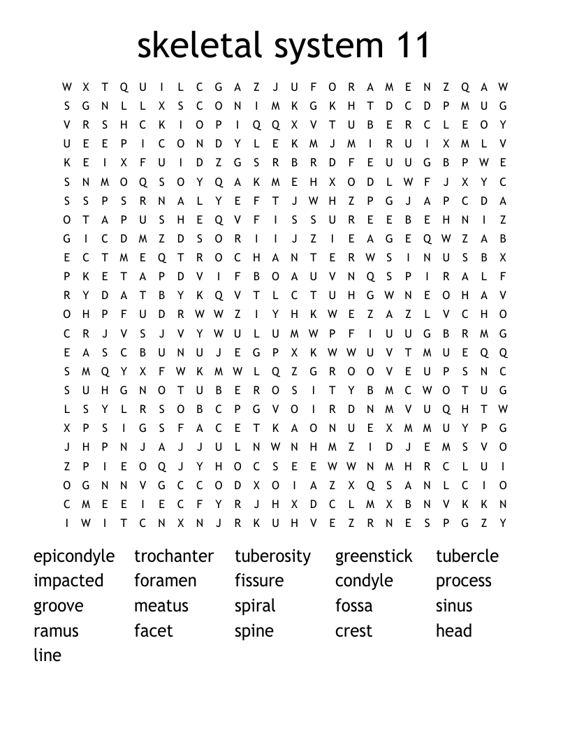 skeletal system 11 Word Search
