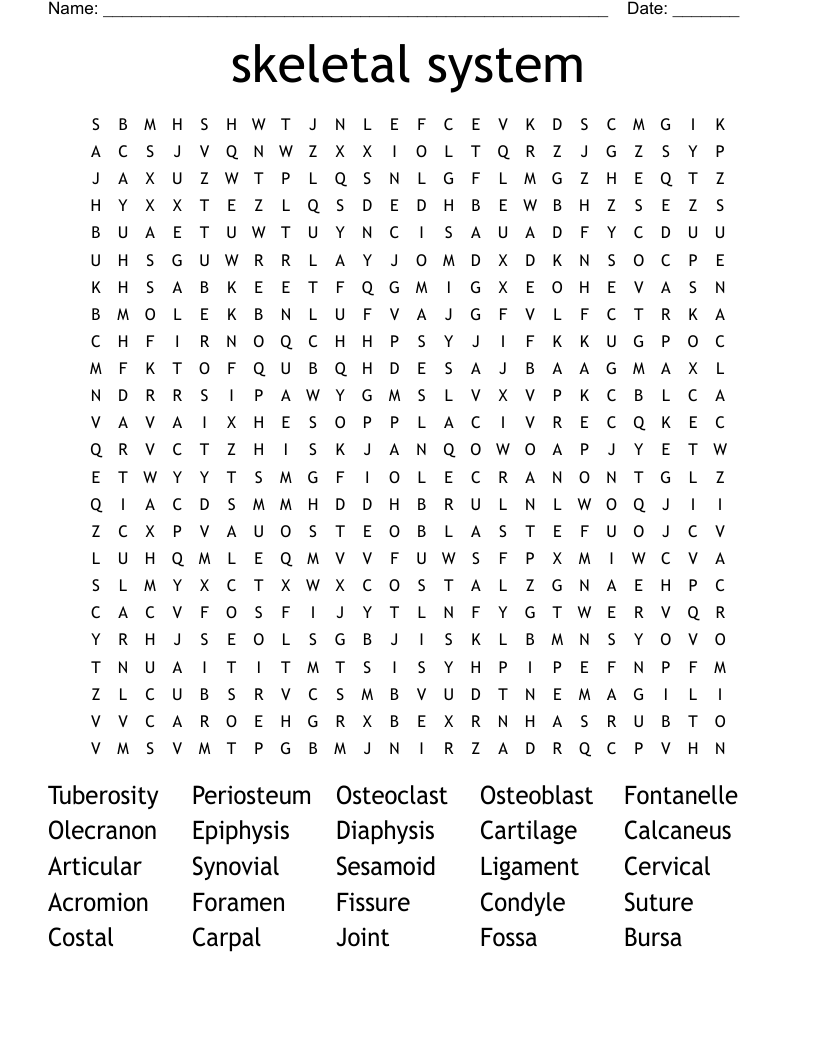 skeletal system Word Search