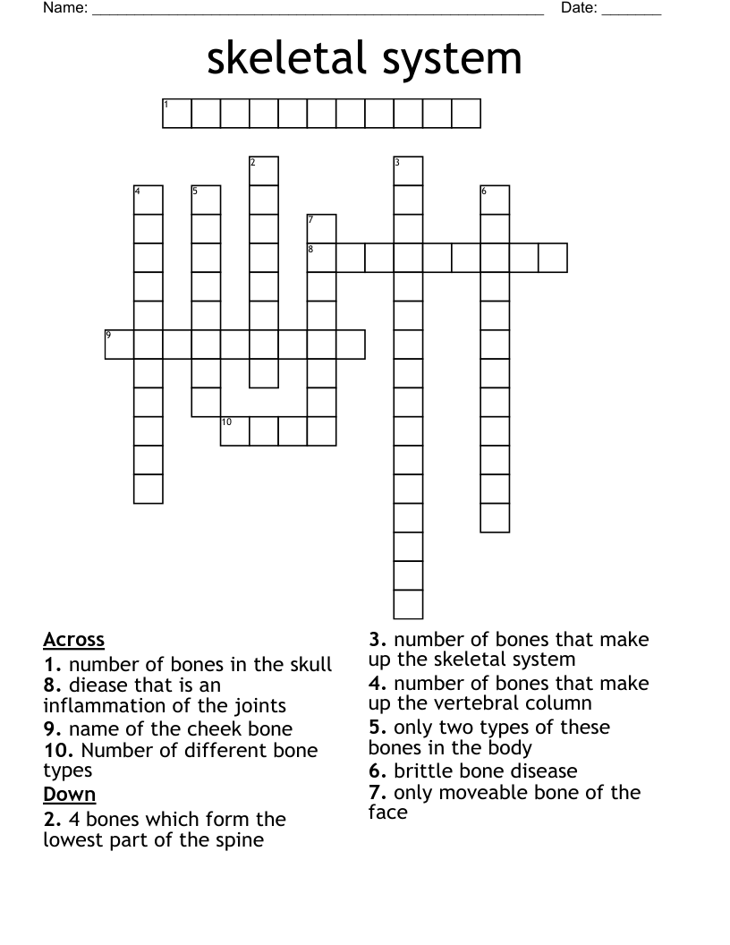 skeletal system Crossword