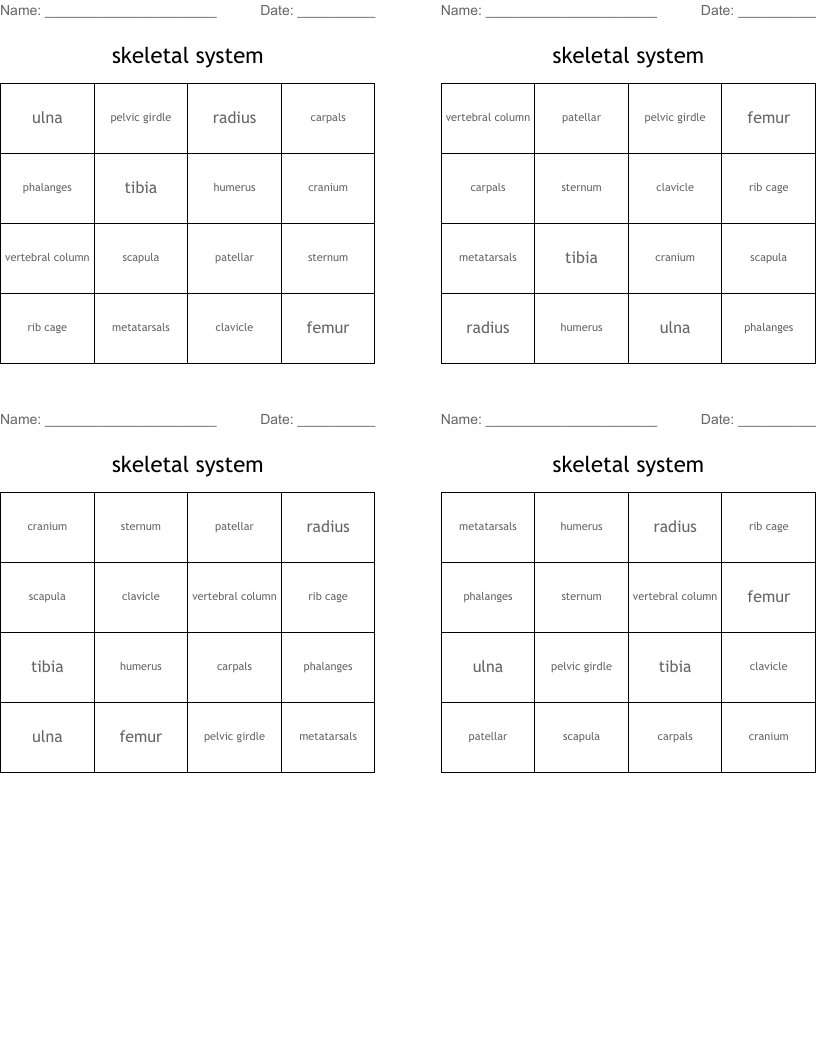 skeletal system Bingo Cards