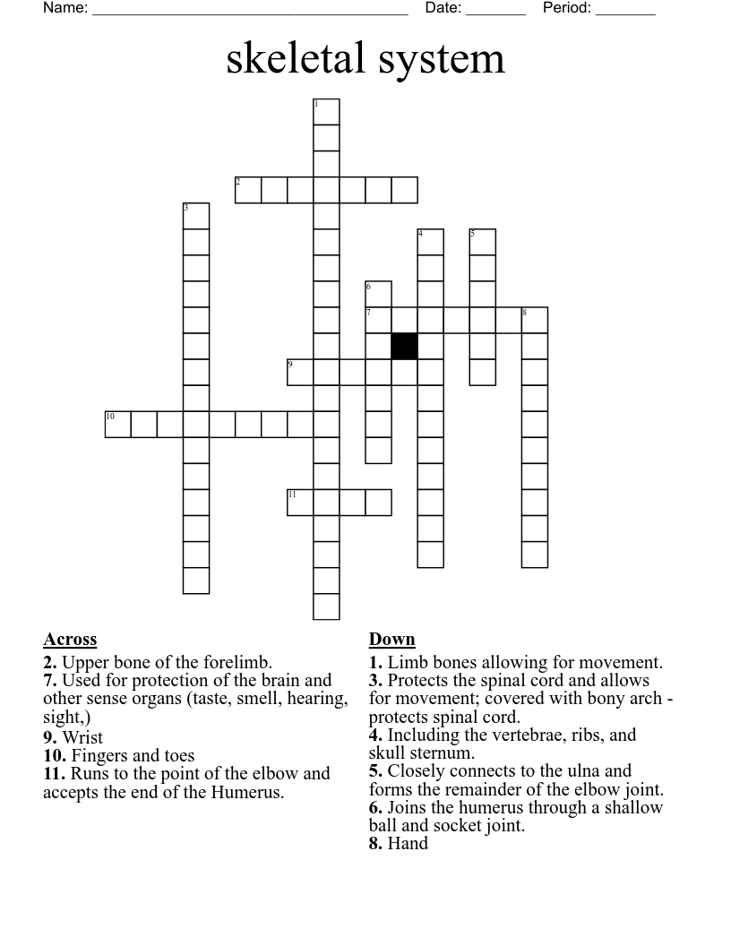 skeletal system Crossword
