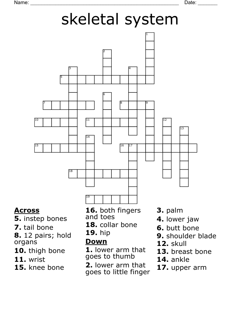 skeletal system Crossword