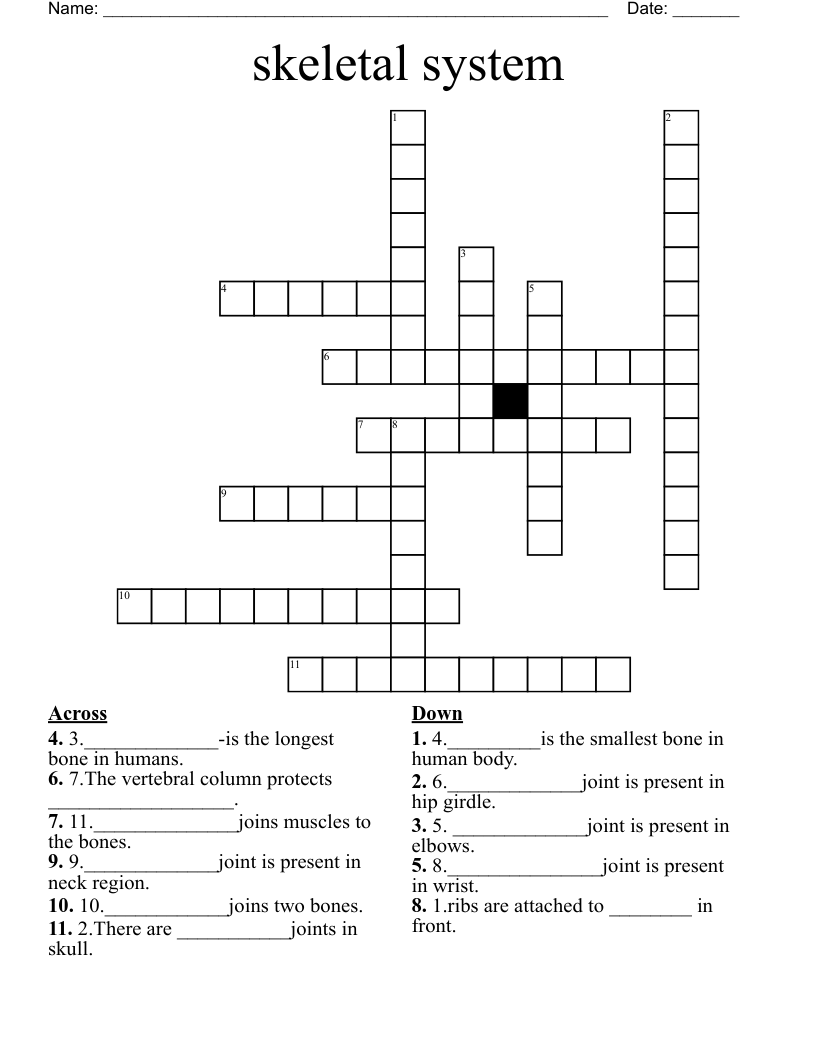 skeletal system Crossword