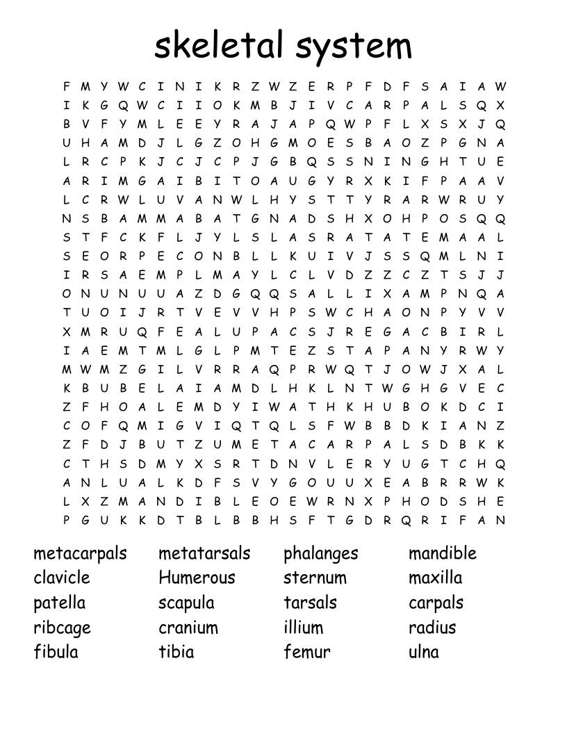 skeletal system  Word Search