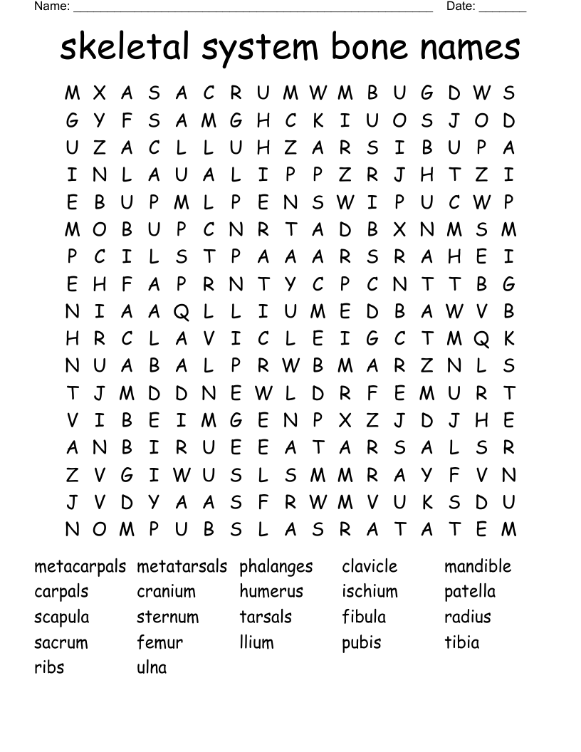 skeletal system bone names Word Search