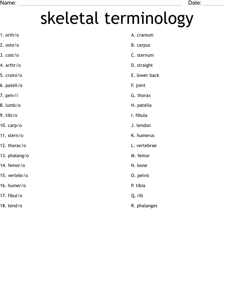skeletal terminology Worksheet