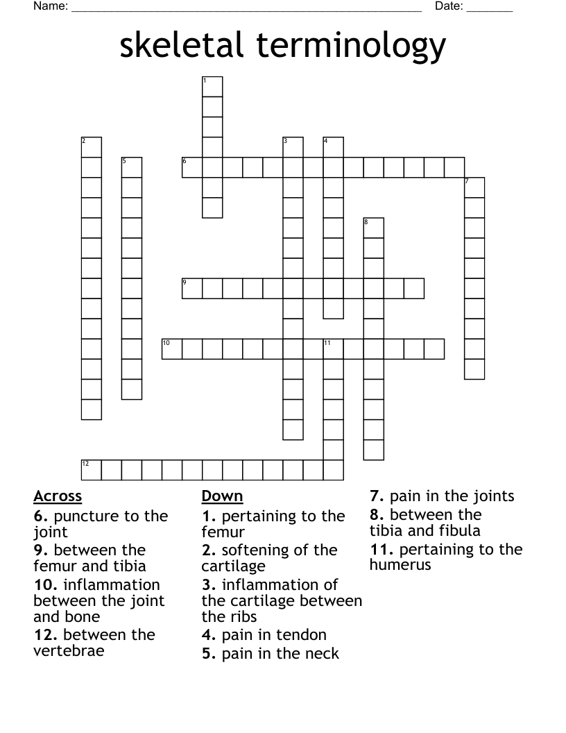 skeletal terminology Crossword
