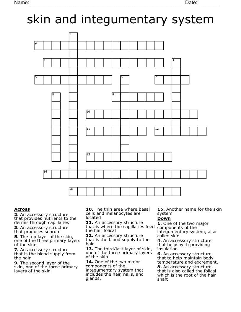 skin and integumentary system  Crossword
