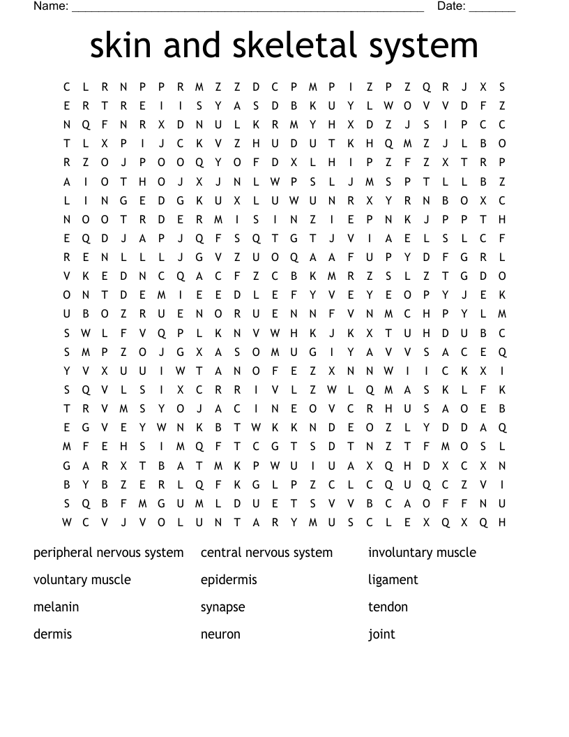 skin and skeletal system Word Search
