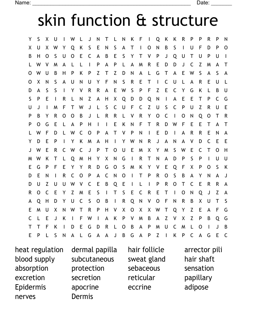 skin function & structure Word Search