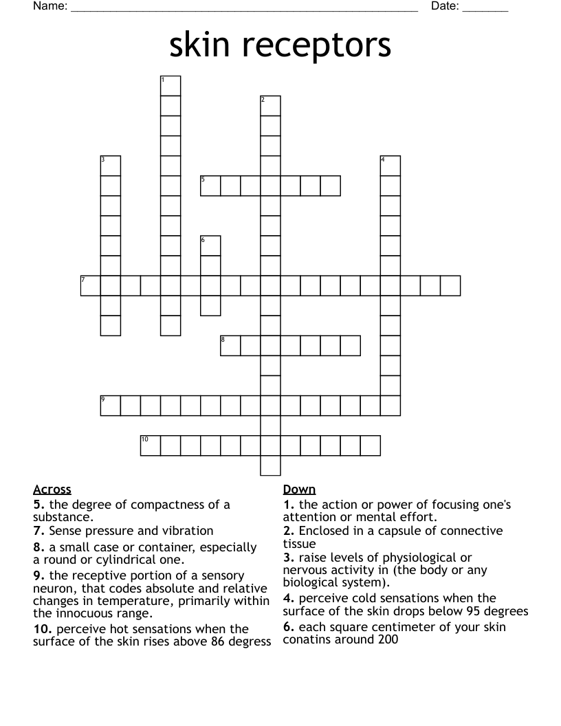 skin receptors Crossword