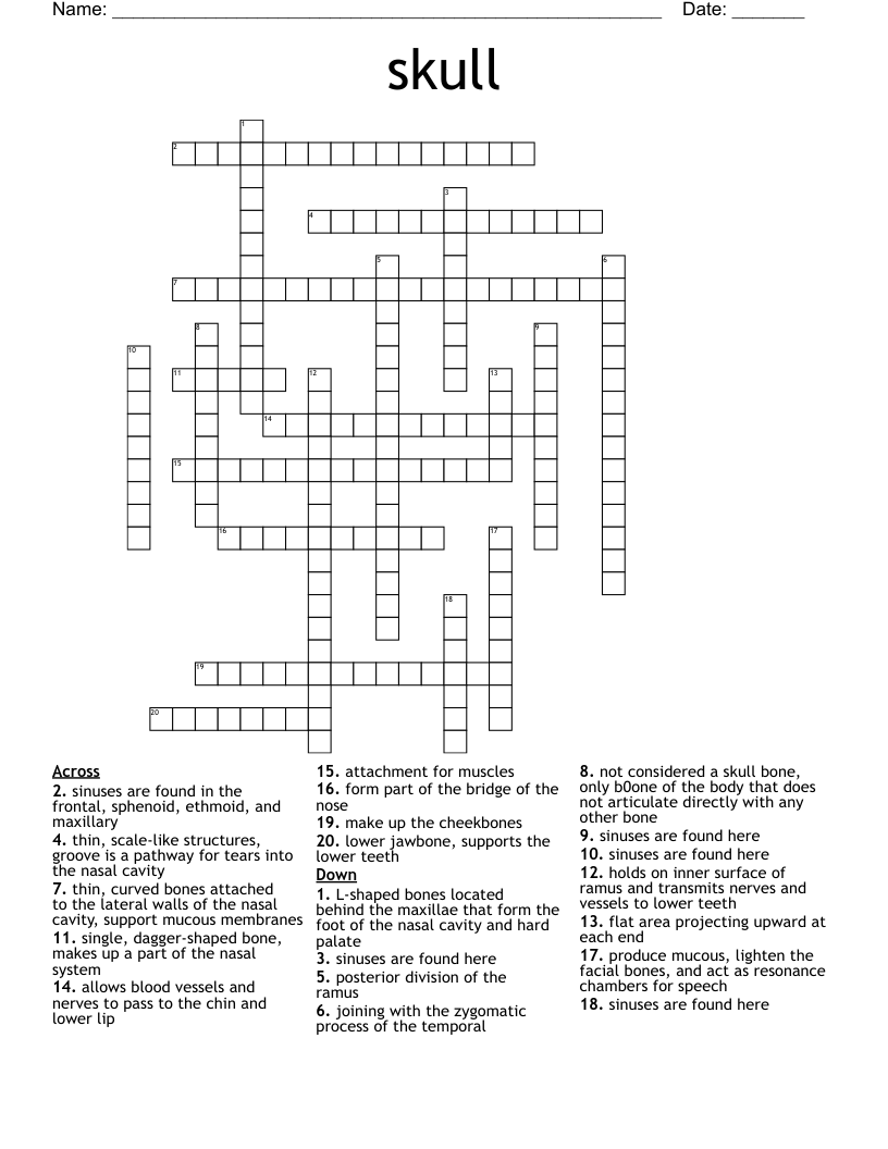 skull Crossword