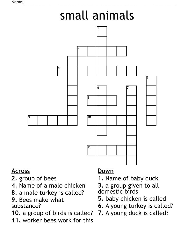small animals Crossword