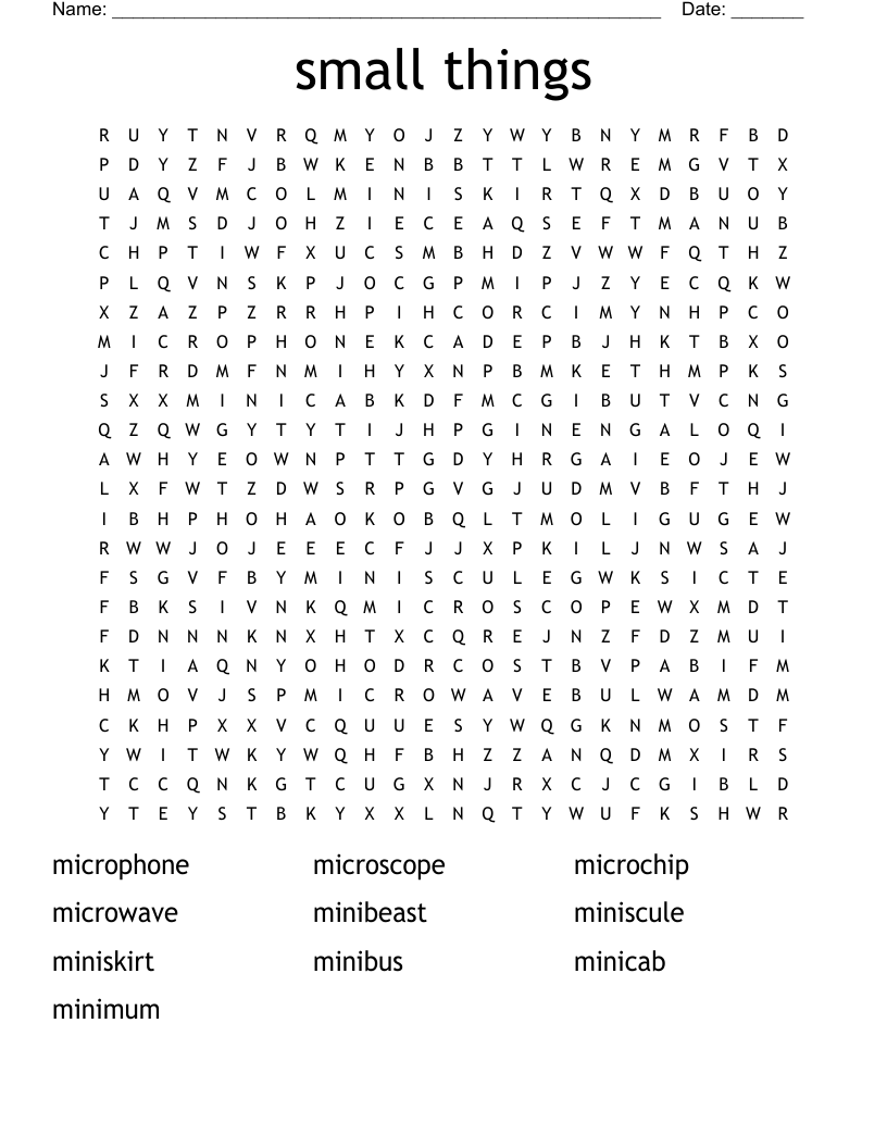 small things Word Search