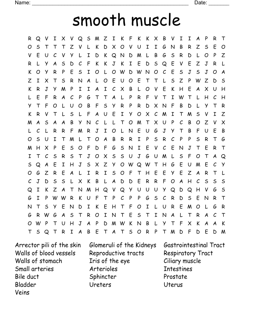 smooth muscle Word Search
