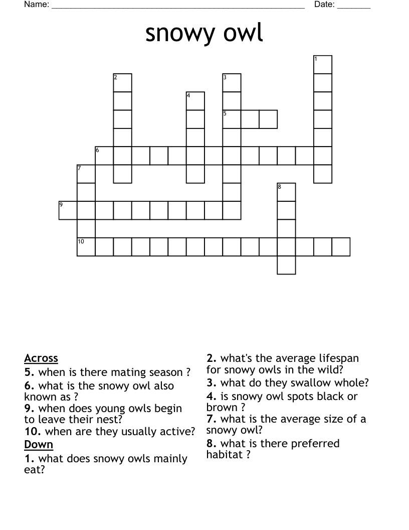 snowy owl  Crossword