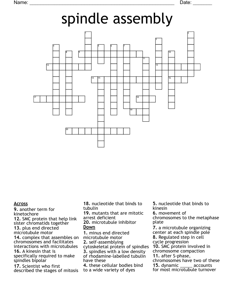 spindle assembly Crossword