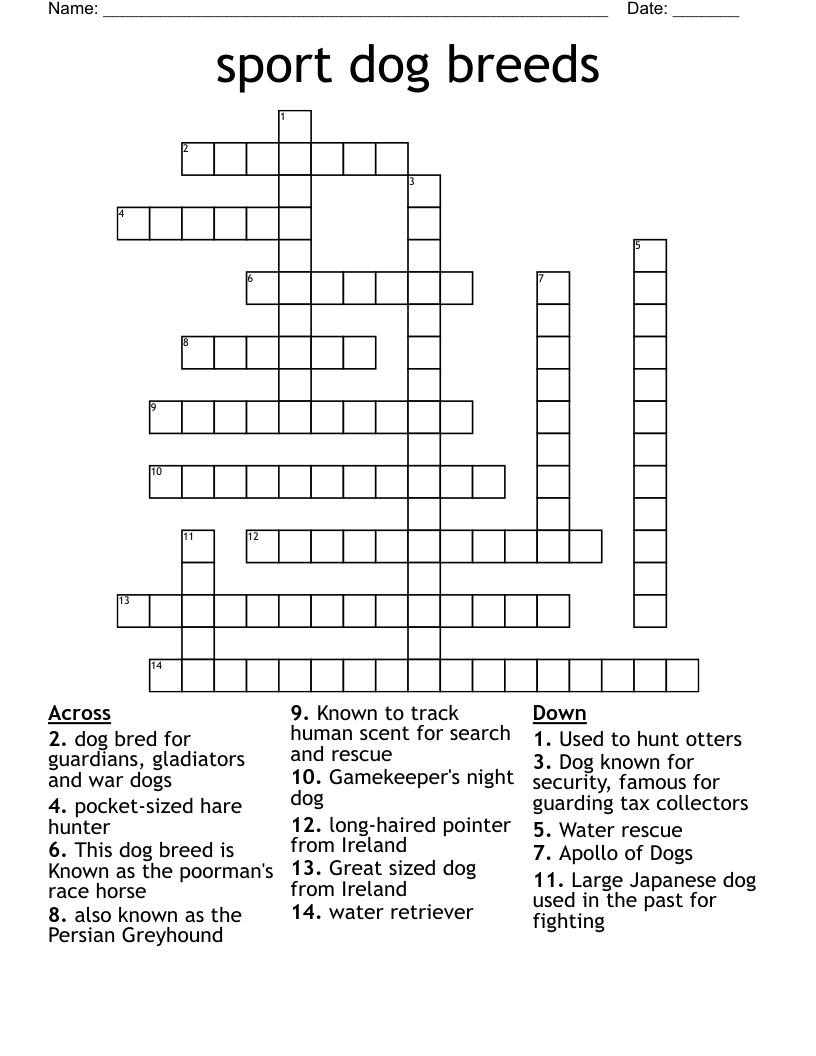 sport dog breeds Crossword