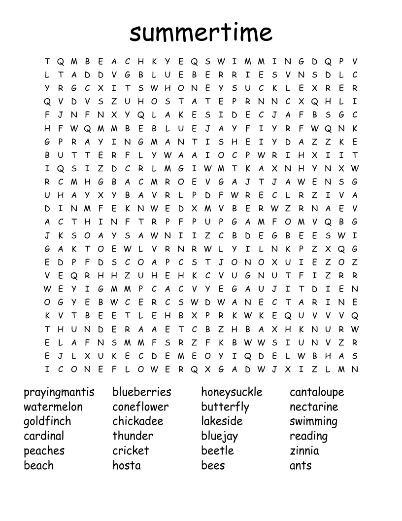 summertime Word Search