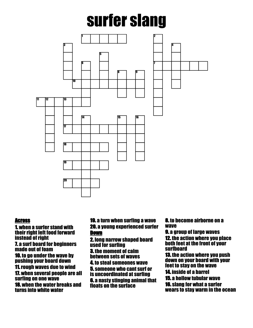 surfer  slang Crossword