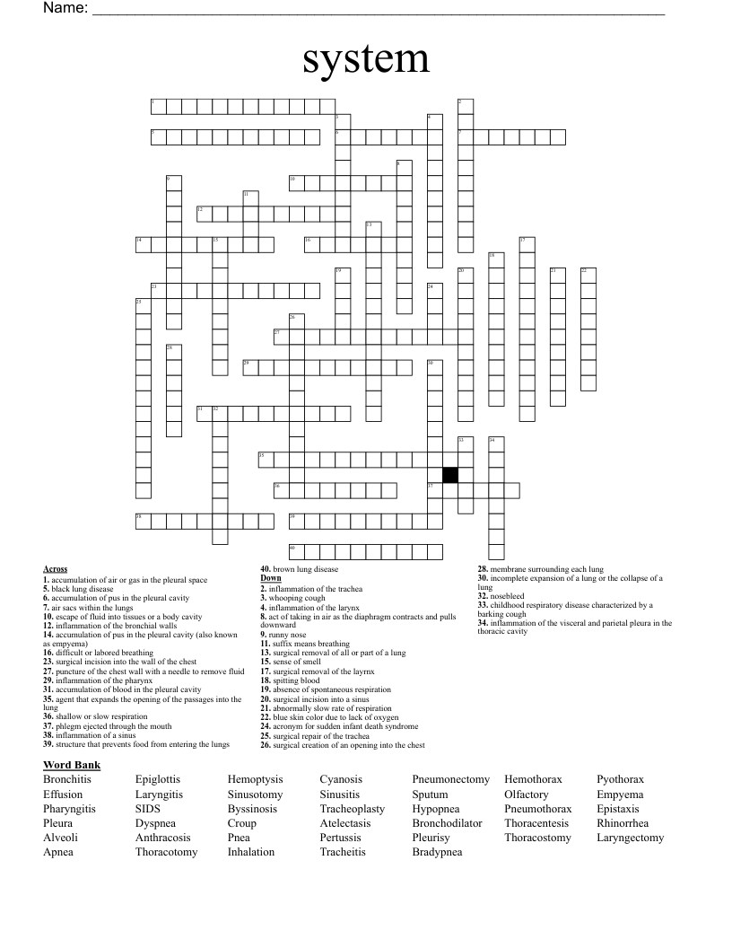 system Crossword