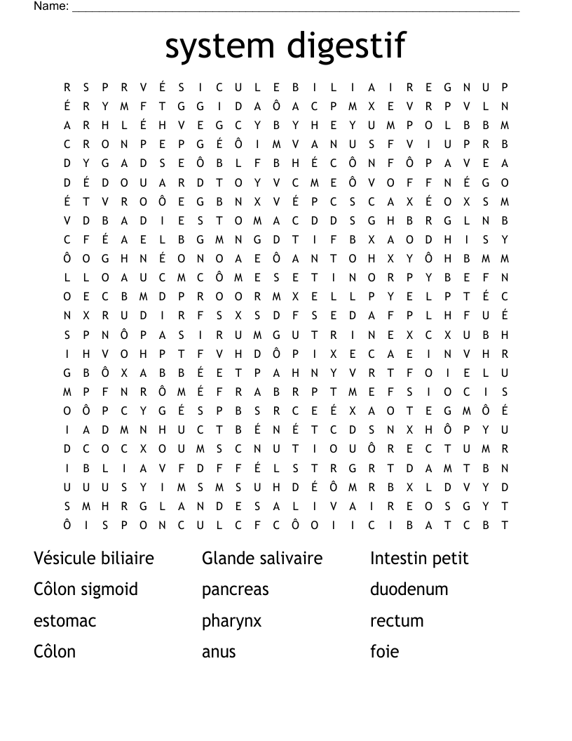 system digestif  Word Search
