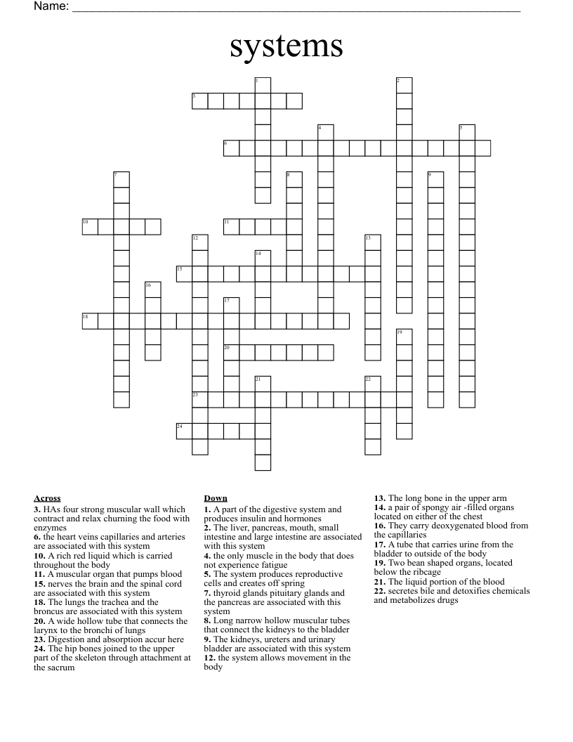 systems Crossword
