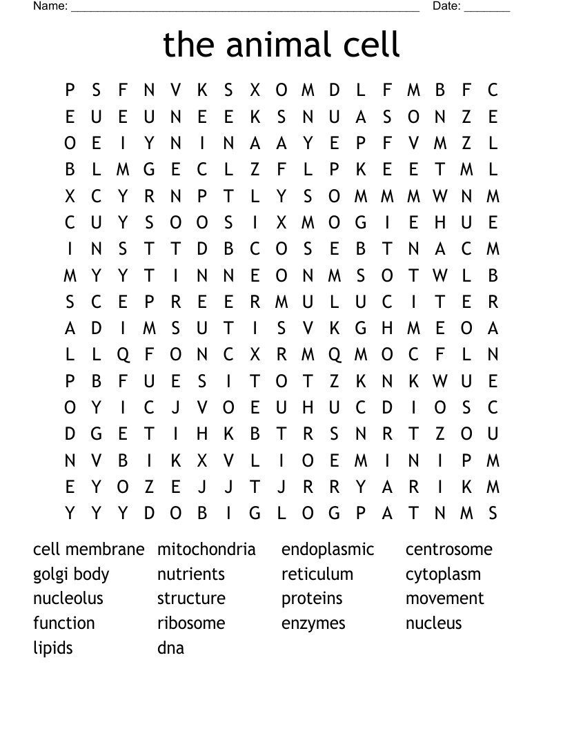 the animal cell Word Search