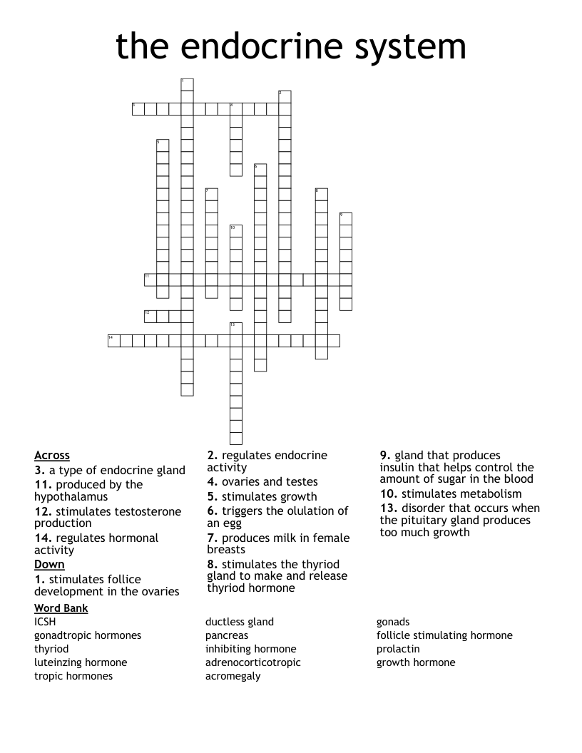 the endocrine system Crossword
