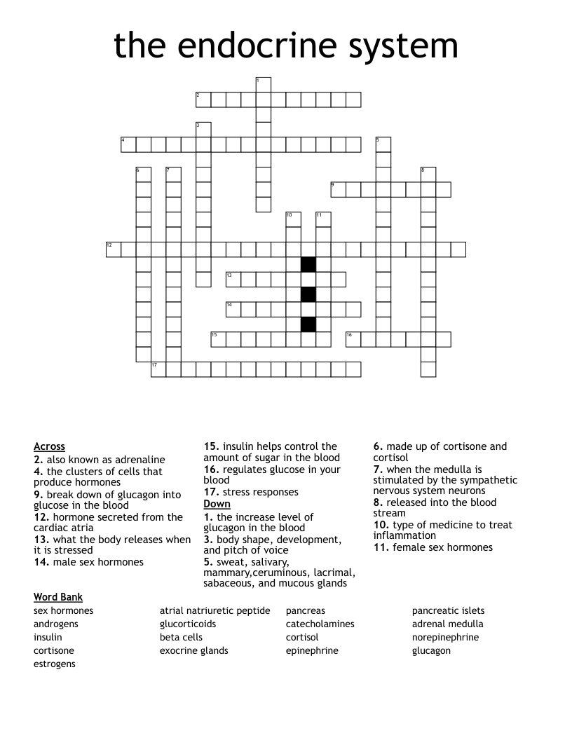 the endocrine system Crossword