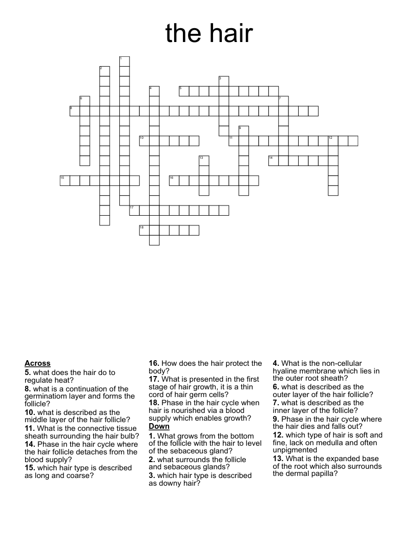 the hair Crossword