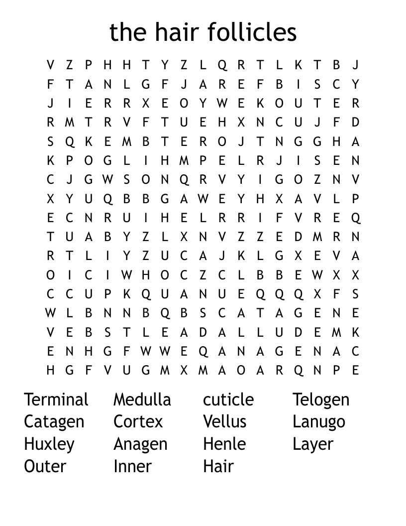 the hair follicles  Word Search