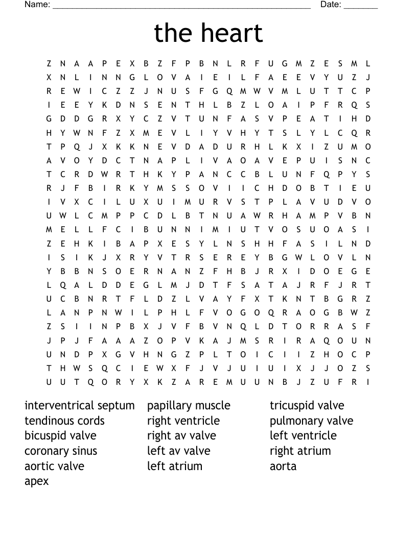 the heart Word Search
