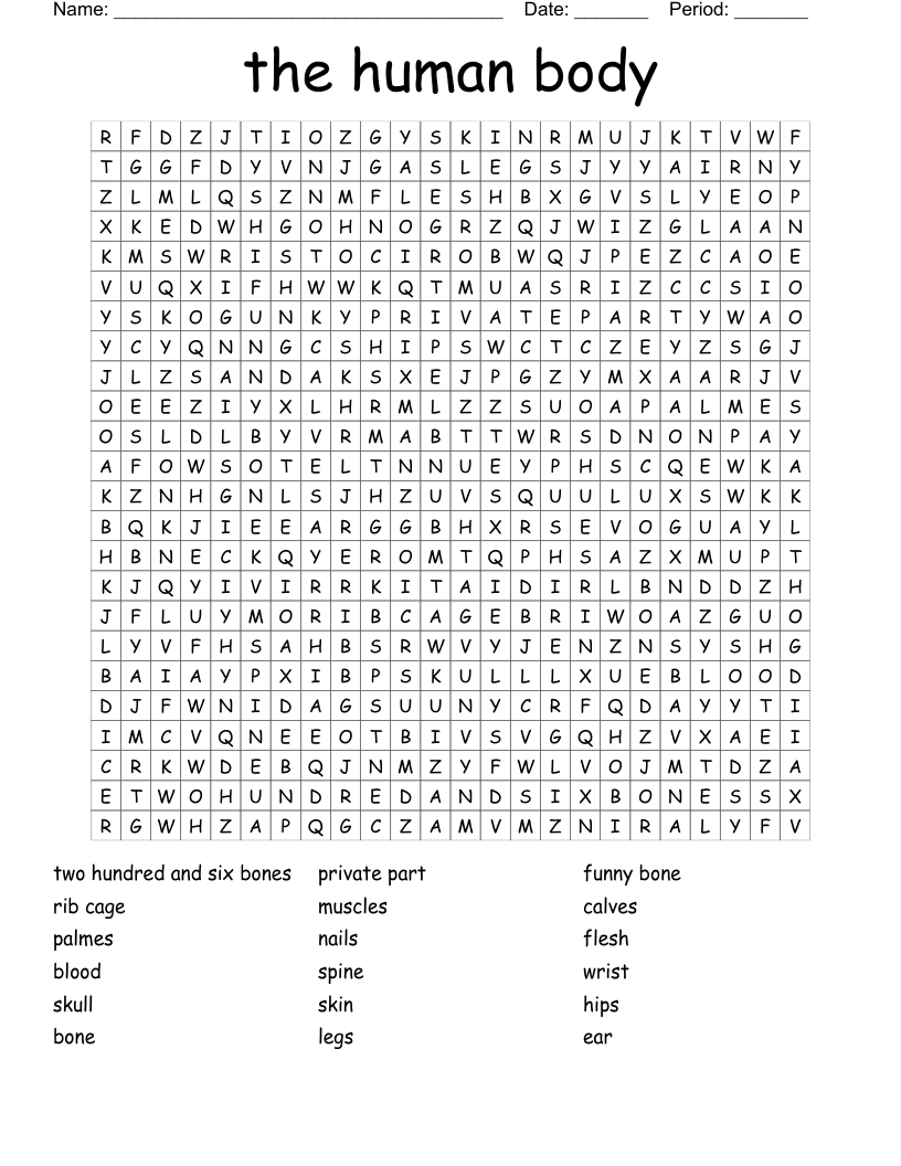 the human body Word Search