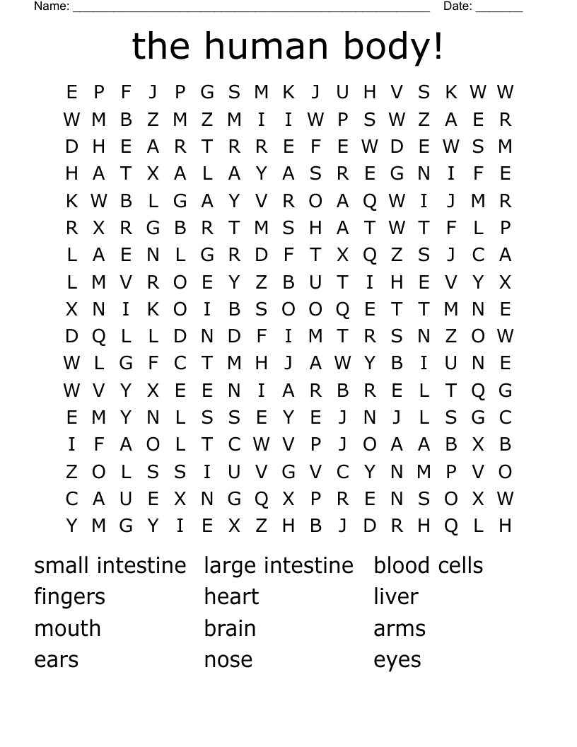 the human body! Word Search